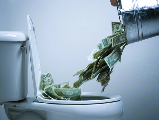 Stop Flushing Money Away! Bidets to the Rescue!